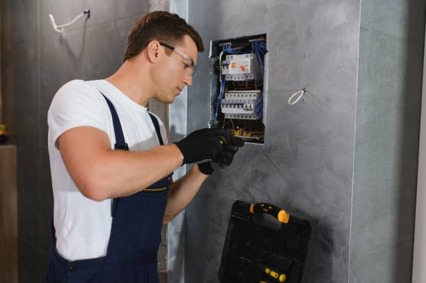 Best Outdoor Lighting Installation  in Utica, MI