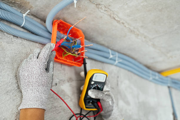 Best Electrician for Home Renovation  in Utica, MI
